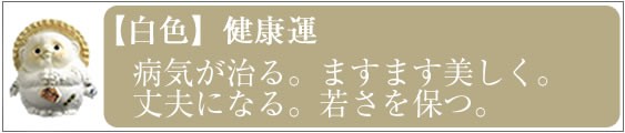 信楽焼 たぬきの置物