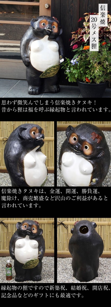 信楽焼 20号メス狸 たぬき タヌキ 開運 縁起物 可愛い 陶器 商売