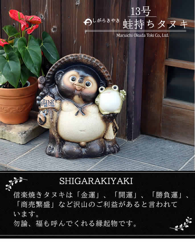 信楽焼 13号蛙持ち開運狸 たぬき タヌキ 狸 開運 縁起物 可愛い 陶器