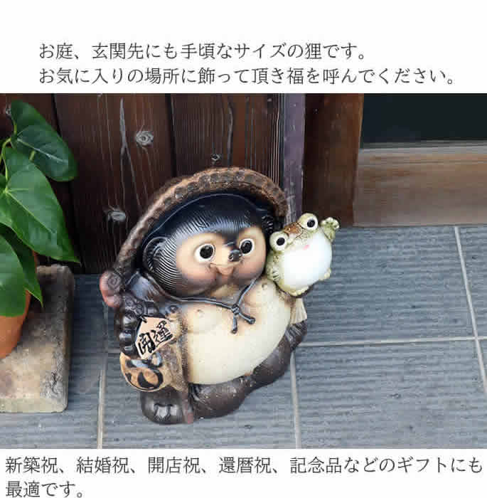 信楽焼 13号蛙持ち開運狸 たぬき タヌキ 狸 開運 縁起物 可愛い 陶器