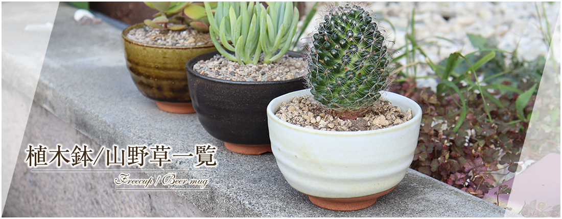 信楽焼 植木鉢 陶器 おしゃれ 山草鉢 フラワーポット サボテン鉢 信楽焼 植木鉢 陶器 おしゃれ 山草鉢 フラワーポット サボテン鉢