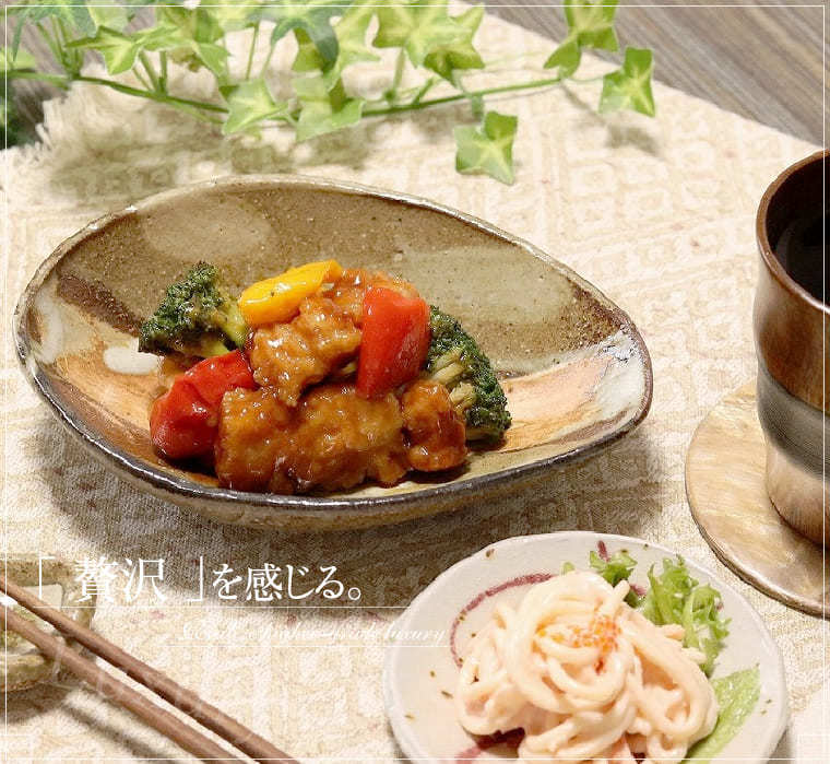 信楽焼 小皿 皿 和食器 盛り付け 陶器 取り皿 中皿 おしゃれ