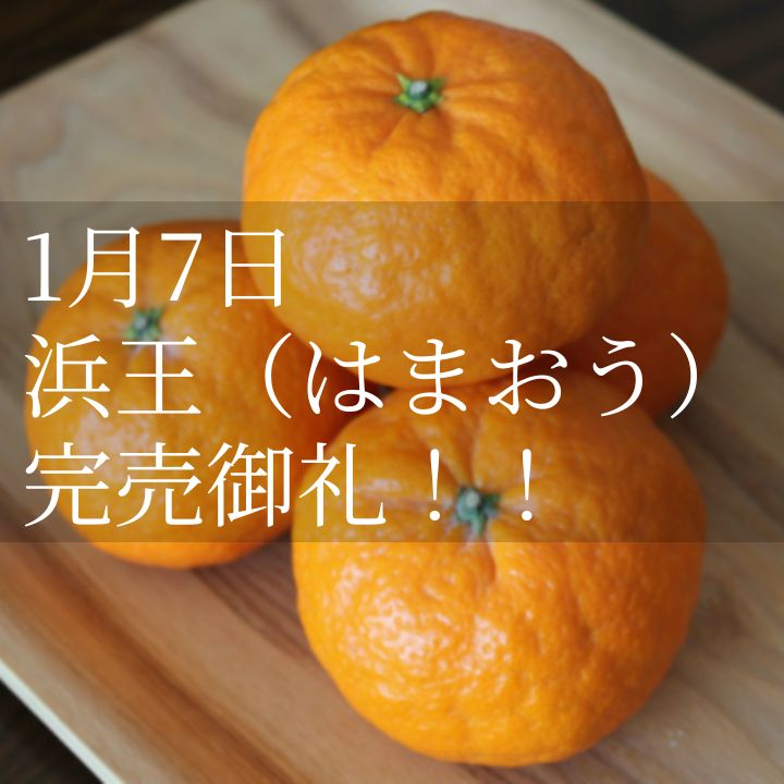 重(しげ)さん家の美味しいみかん - Yahoo!ショッピング