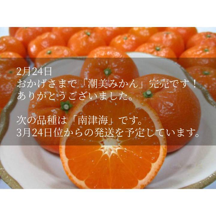 みかんさん専用 Amazon | サンベルックス(SUNBELLEX) SUNBELLEX マグァンプk入り