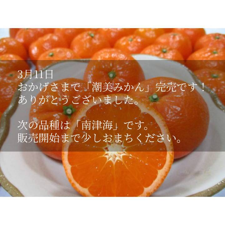 重(しげ)さん家の美味しいみかん - Yahoo!ショッピング