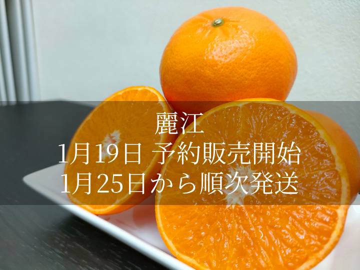 重(しげ)さん家の美味しいみかん - Yahoo!ショッピング