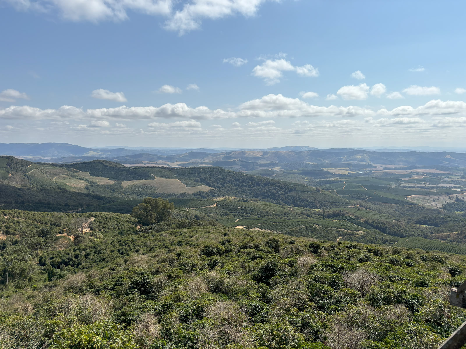 ブラジル・リオヴェルデ