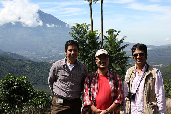 グァテマラ・ダーク