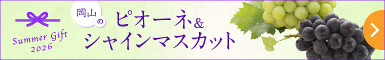 2026ぶどうギフト【志ほや】〜創業大正二年