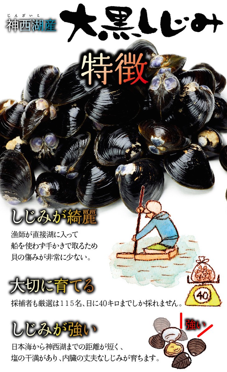 神西湖 しじみ 神西湖産 レトルトしじみ 大黒しじみ Lサイズ 100g 10袋 J100 10 K しじみ屋かわむら 通販 Yahoo ショッピング