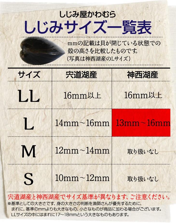 しじみのサイズ一覧表、宍道湖産しじみSサイズ、10ミリ〜12ミリ