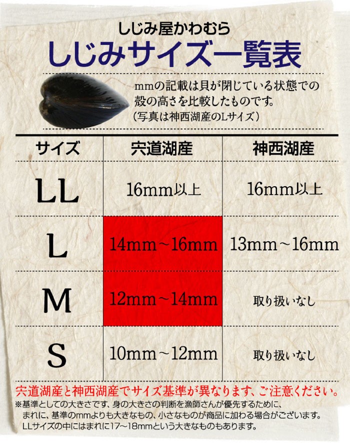 しじみのサイズ一覧表、宍道湖産しじみMサイズ12〜14ミリ、Lサイズ14〜16ミリ