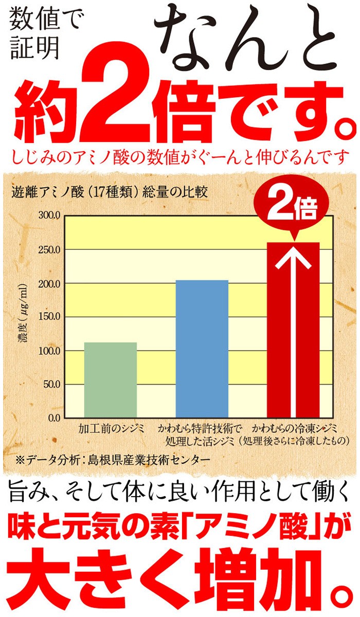 宍道湖産しじみMサイズ