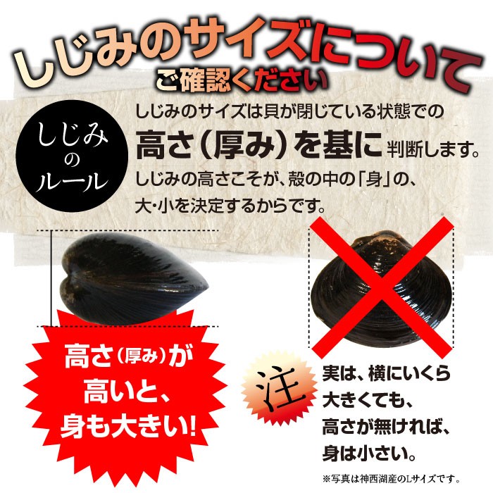 シジミ 宍道湖産レトルトしじみ Mサイズ 100g×15袋【S100/15】 :k000312:しじみ屋かわむら - 通販 - Yahoo!ショッピング