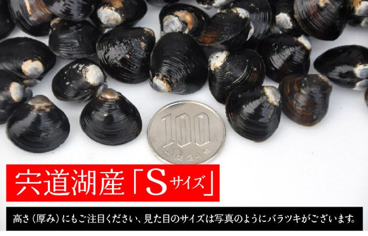 島根県・宍道湖産冷凍しじみ Sサイズ 3kg（1kg×3袋・3キロ）送料無料 砂抜き済 シジミ 蜆 お取り寄せ しじみ屋かわむら【S3】  :K000132:しじみ屋かわむら - 通販 - Yahoo!ショッピング