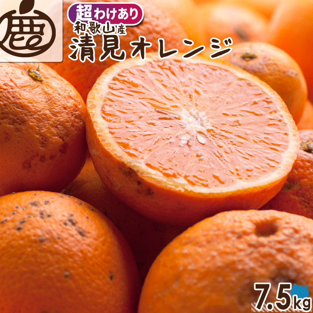 超わけあり] 清見オレンジ 7.5kg 【 送料無料 KSロットA 訳あり 清見