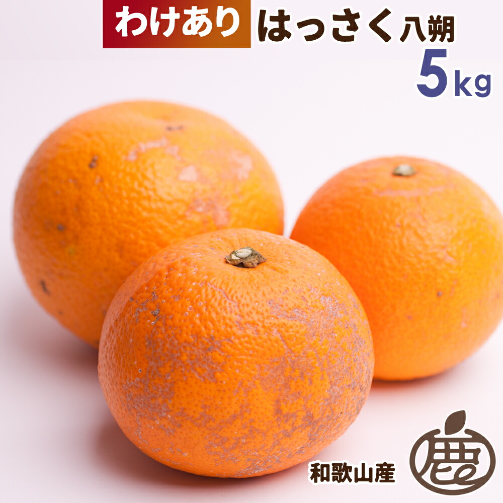 わけあり]はっさく5kg 【KS】【訳あり】【八朔・ハッサク】【送料無料