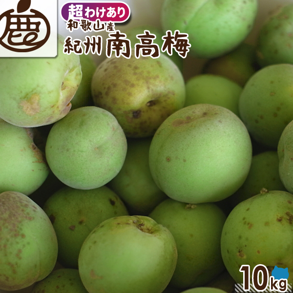 [超わけあり]紀州南高梅【送料無料】 KS 超訳あり 訳あり お得 青梅 南高梅 大粒 大玉 梅ジュース用 梅干し用 梅酒の梅 梅酒用 梅 うめ ウメ 梅の実 ジャム シロップ 産地直送 産直 農家直送 和歌山県 和歌山 国産 紀州梅 紀州梅干し