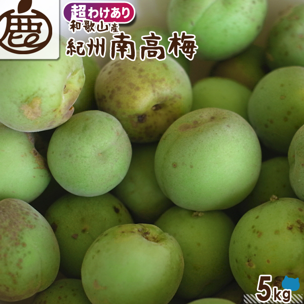 [超わけあり]紀州南高梅【送料無料】 KS 超訳あり 訳あり お得 青梅 南高梅 大粒 大玉 梅ジュース用 梅干し用 梅酒の梅 梅酒用 梅 うめ ウメ 梅の実 ジャム シロップ 産地直送 産直 農家直送 和歌山県 和歌山 国産 紀州梅 紀州梅干し