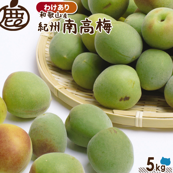 和歌山の紀州南高梅・青梅、梅酒用やジャム用シロップ用などお買い得な訳あり品です