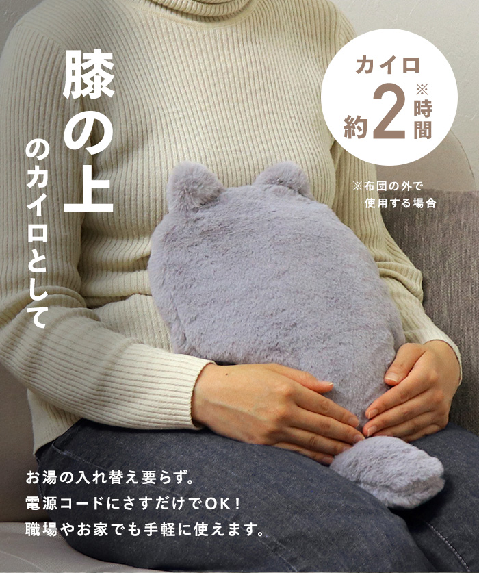 ⭐️ゆたんぽさま専用 2本 蓄熱式ゆたんぽ フレンズ CNYP-FR2 「送料無料」/ 充電式 蓄熱式