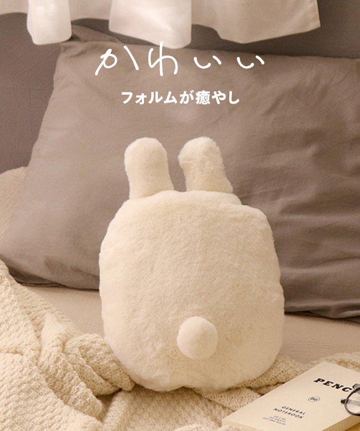 蓄熱式ゆたんぽ フレンズ くま ねこ うさぎ CNYP-FR2 湯たんぽ