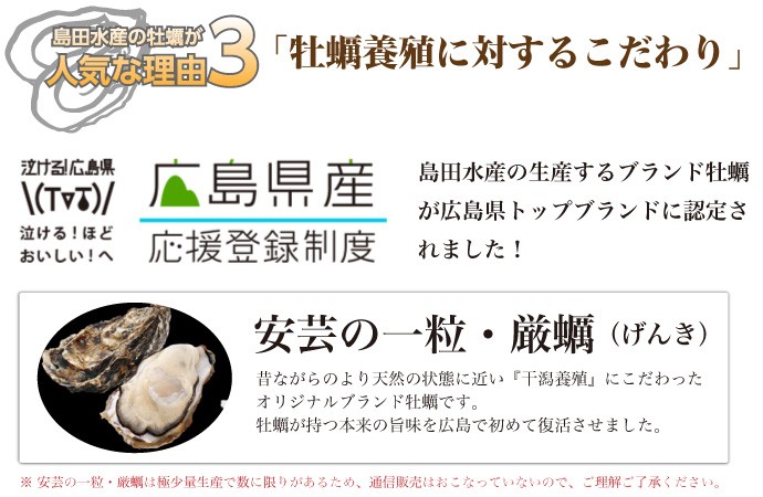ふるさと納税 山口水産の能登かきむき身 正味1kg(約40〜60粒) 石川県