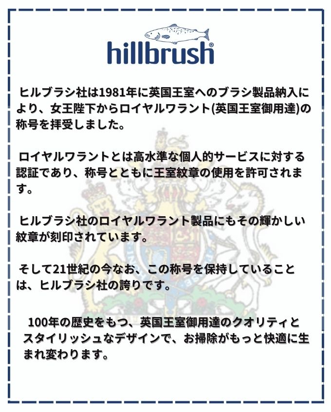 hillbrush(ヒルブラシ) DP4SET-BL ダストパン＆ブラシセット 青