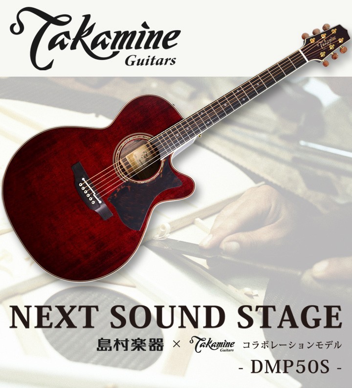 Takamine タカミネ DMP50S WR エレアコギター セミハードケース