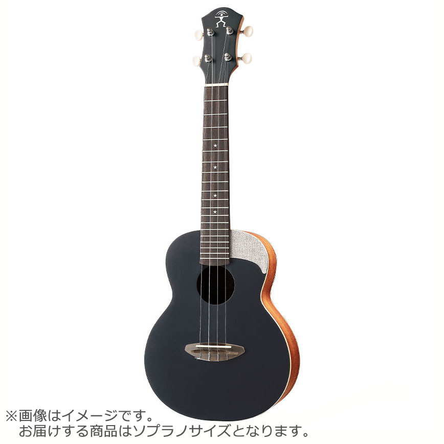 aNueNue アヌエヌエ US10 ソプラノウクレレ Pantone パントン
