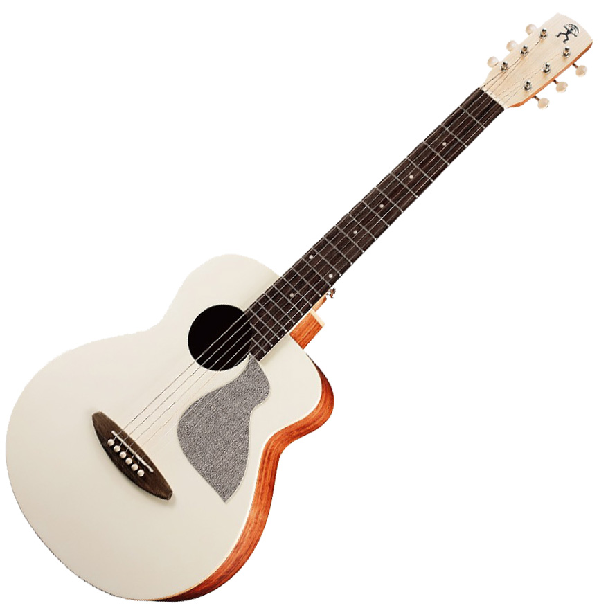 aNueNue アヌエヌエ aNN-MC10 アコースティックギター ミニギター トップ単板 Pantone パントン Colorシリーズ
