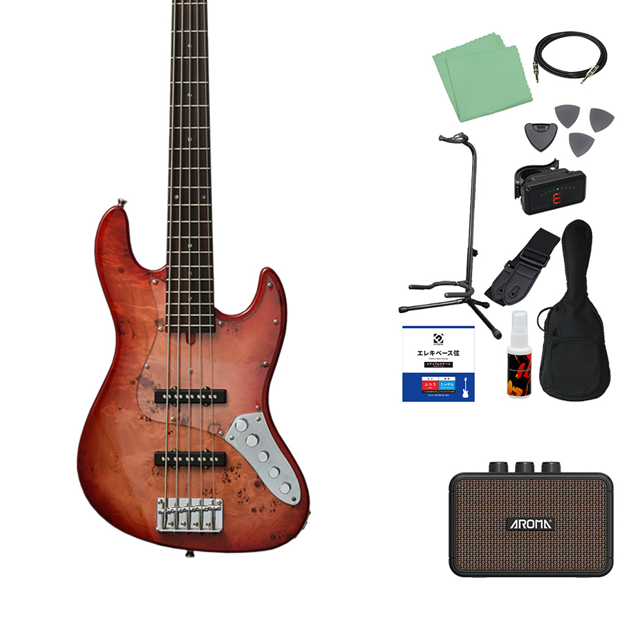 Bacchus（バッカス） WJB5-BP/Act 5弦ベース初心者12点セット充電式