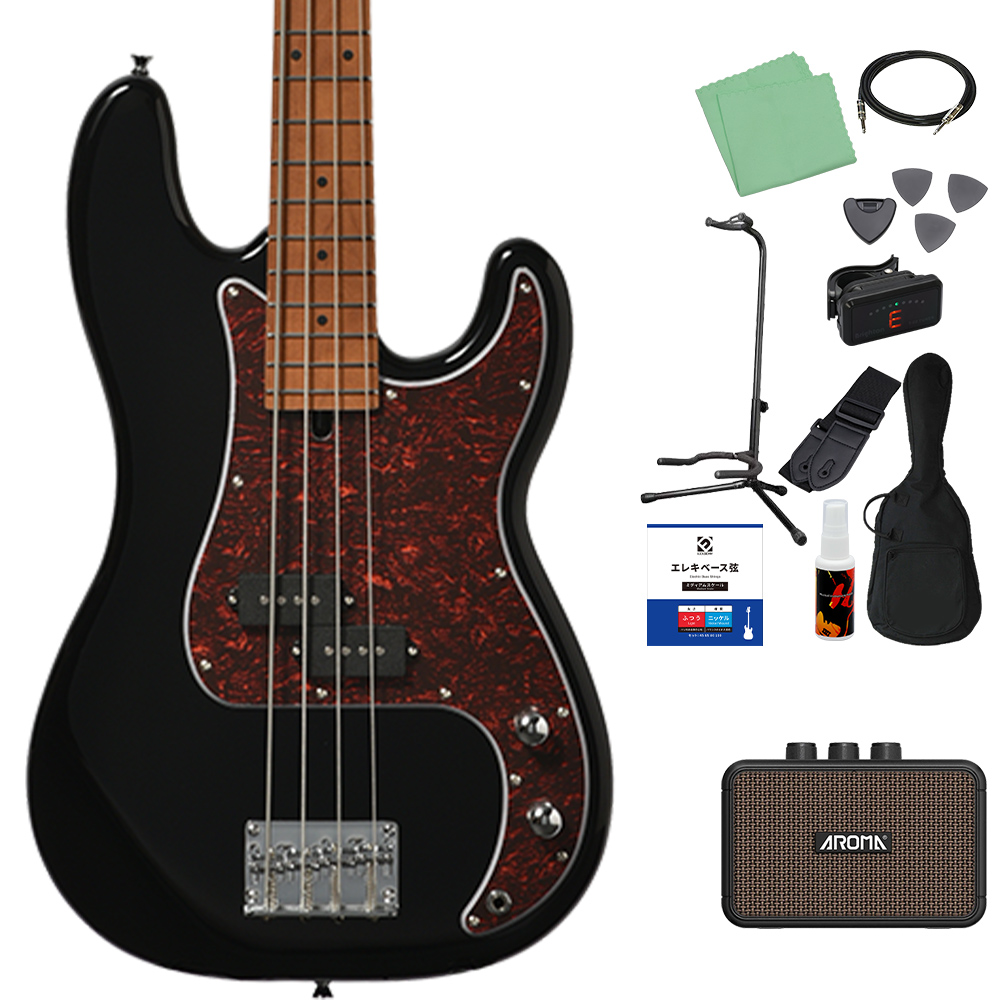 Bacchus バッカス BPB-1DX RSM/M ベース初心者12点セット 充電式