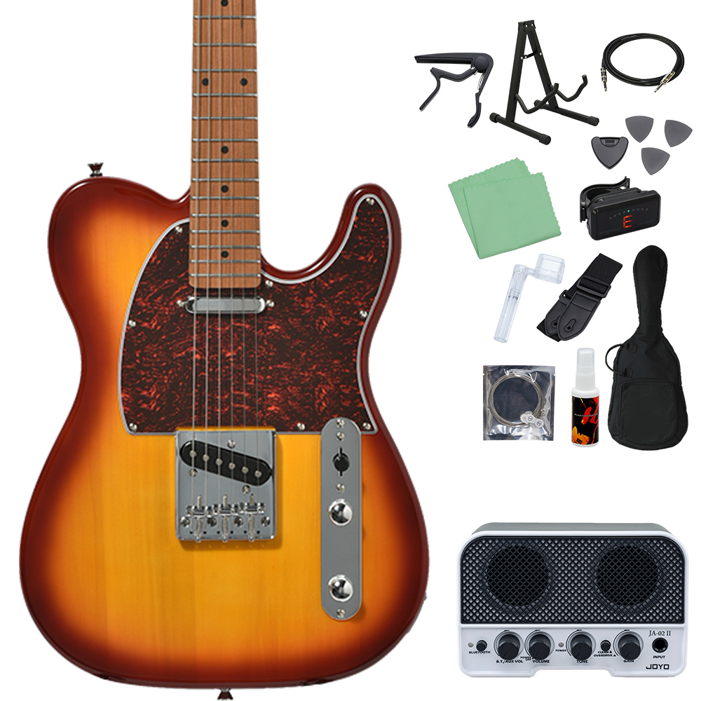 Bacchus（バッカス） BTE-1DX RSM/M エレキギター初心者14点セット