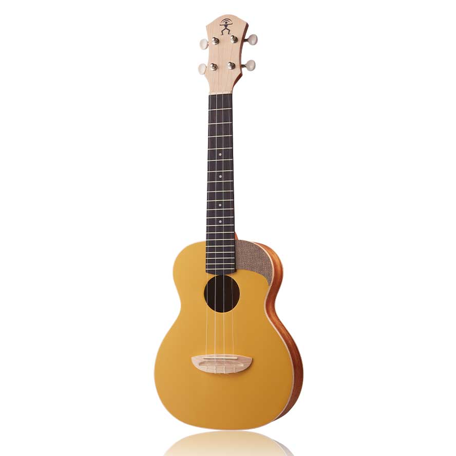 aNueNue アヌエヌエ UC10 コンサートウクレレ Pantone パントン Color