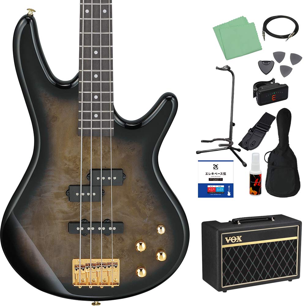 ベース ハードケース（Ibanez）のおすすめ人気商品一覧 通販 - Yahoo