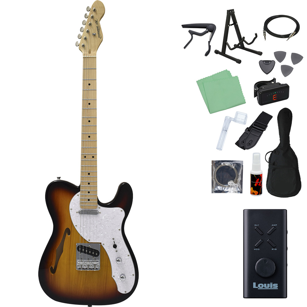 テレキャスター シンライン（ギター）｜楽器、器材 | 楽器、手芸