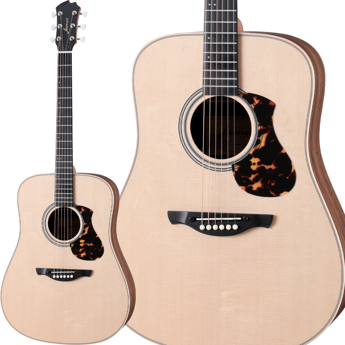 JAMES 300（ギター）｜楽器、器材 | 楽器、手芸、コレクション の
