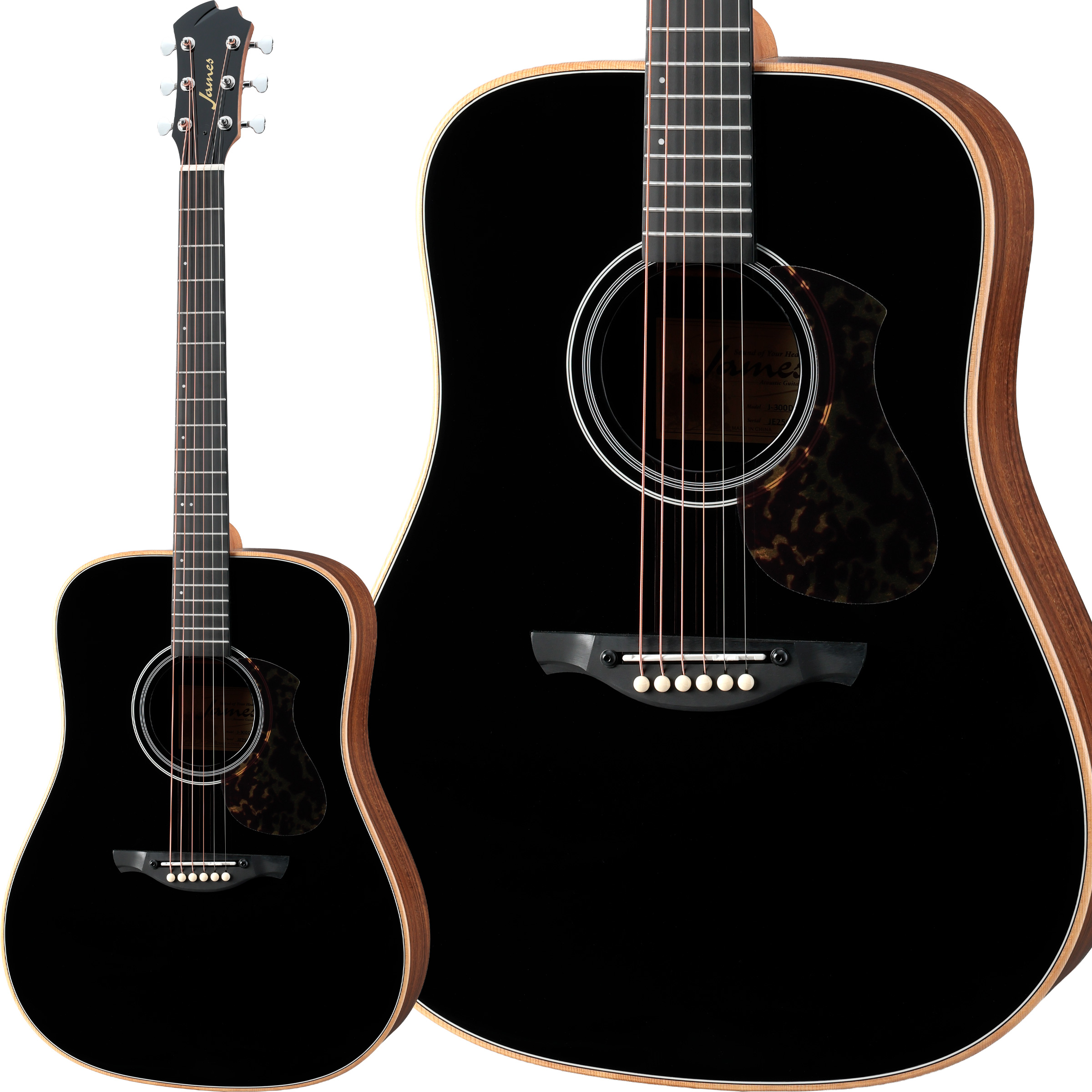 JAMES ギター 弦 アコースティックギターのおすすめ人気商品一覧 通販