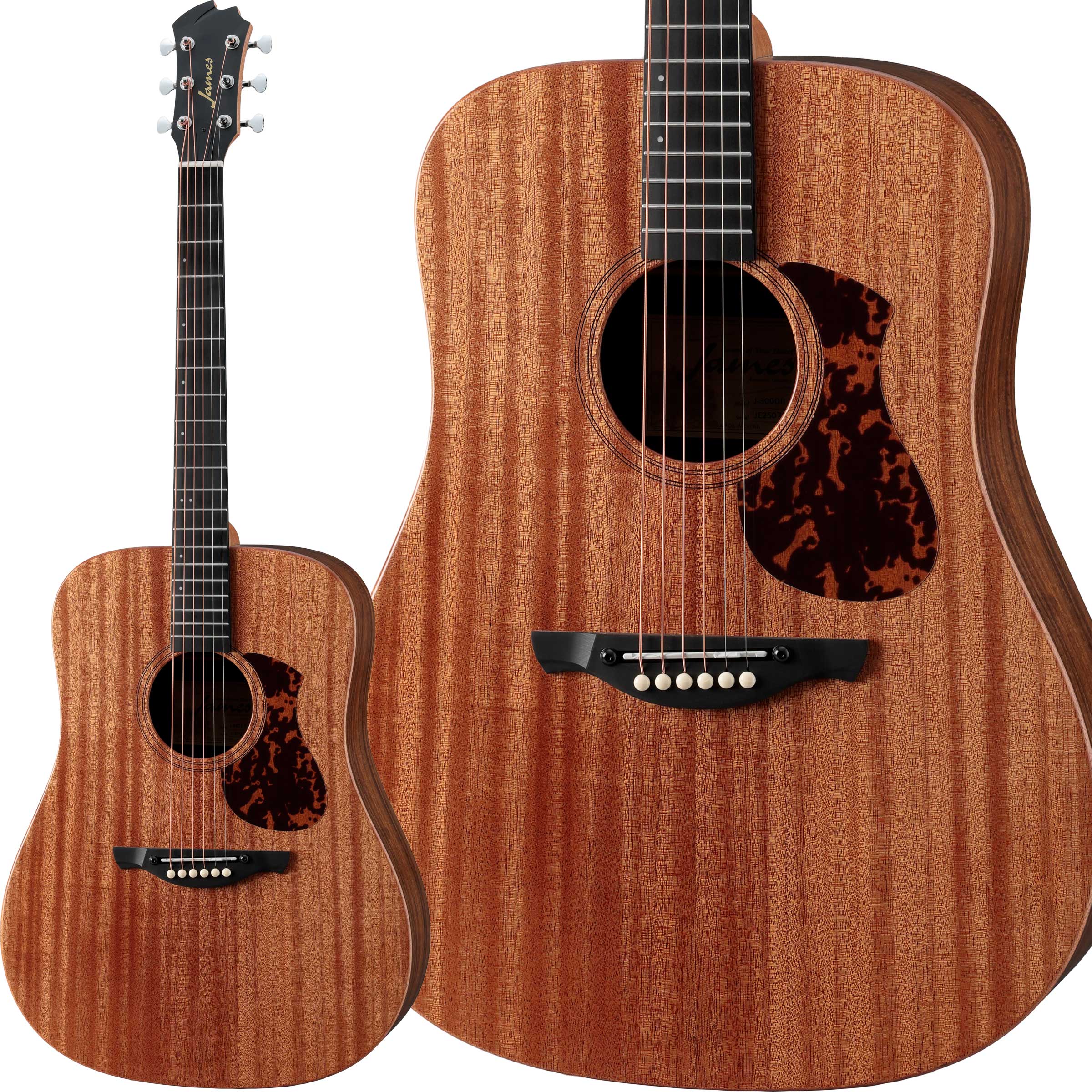 James ジェームス J-300D NAT トップ単板！エレアコ仕様！激鳴り