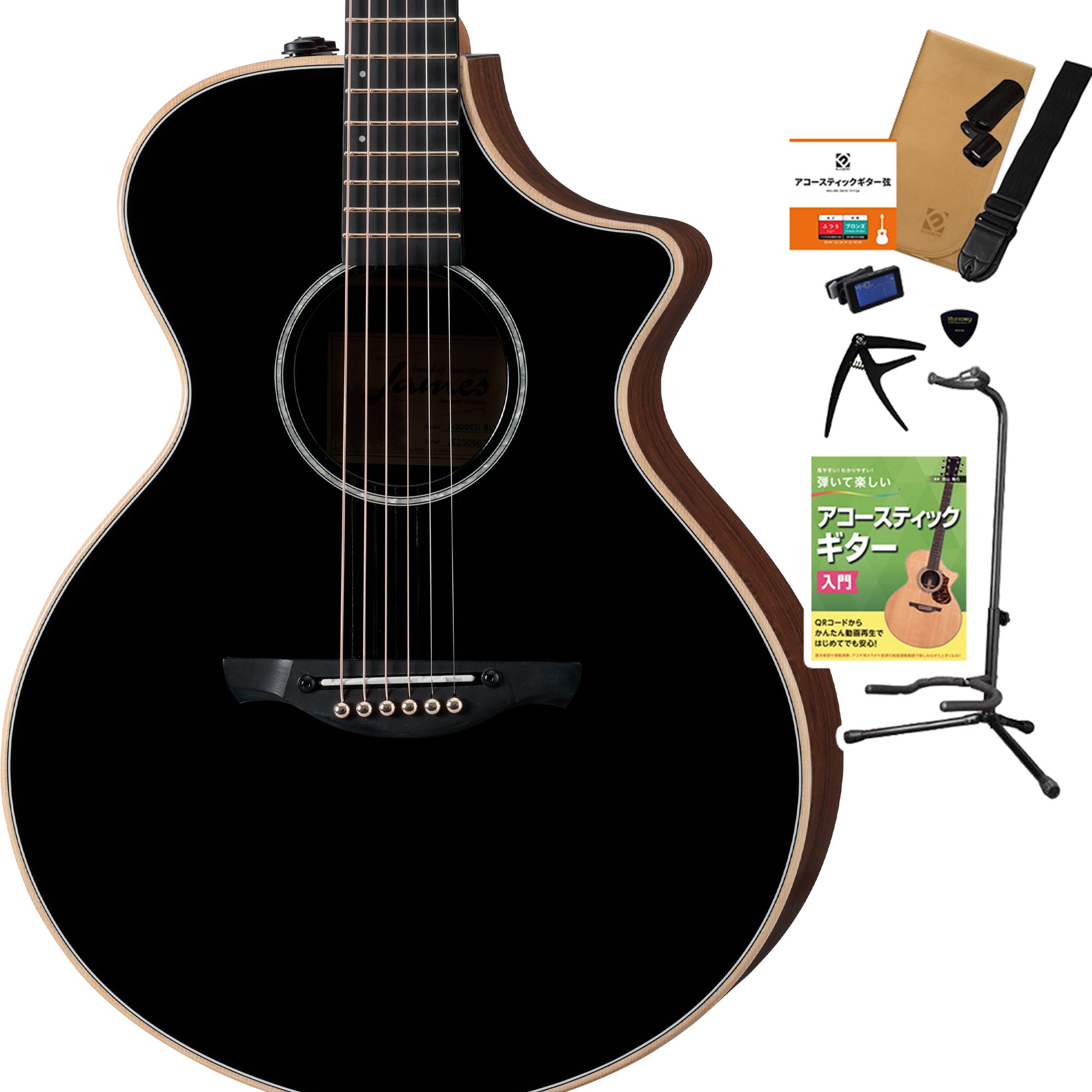 JAMES 300（ギター）｜楽器、器材 | 楽器、手芸、コレクション の