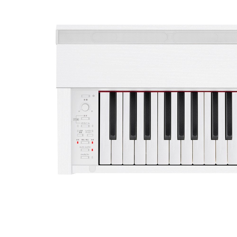 CASIO カシオ 電子ピアノ 88鍵盤 PX-2000GP PX2000GP〔配送設置無料