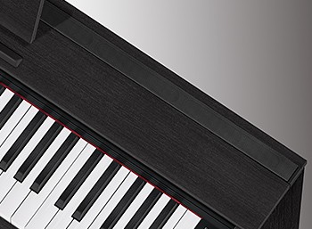 CASIO カシオ 電子ピアノ 88鍵盤 PX-870BN PX870 Privia プリヴィア 