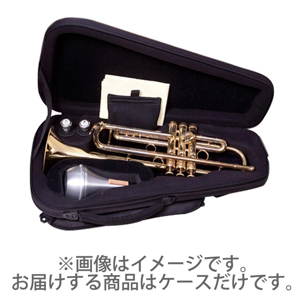 bags バッグス EFTR M-GREY ハードケース/トランペット用 : 島村楽器