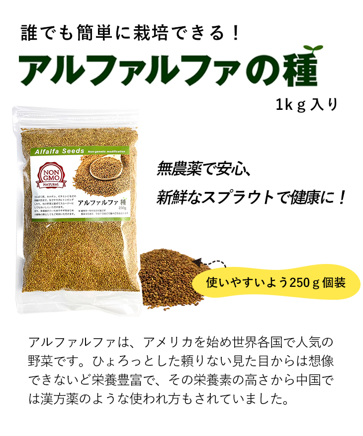 アルファルファ種 オーストラリア産 1kg