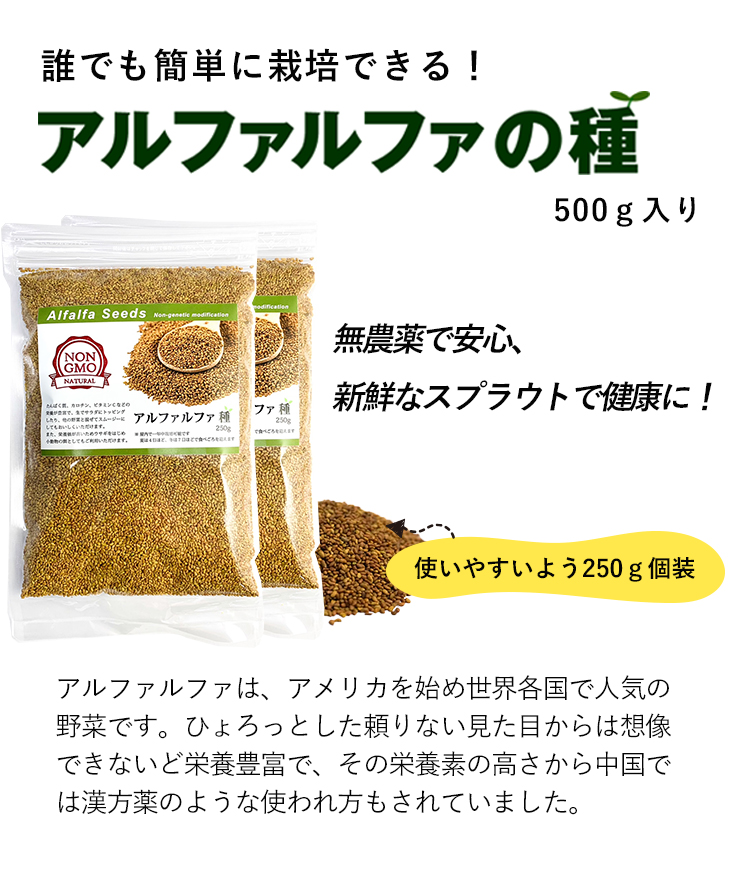 アルファルファ 種 500g スーパーフード 高品質 オーストラリア産