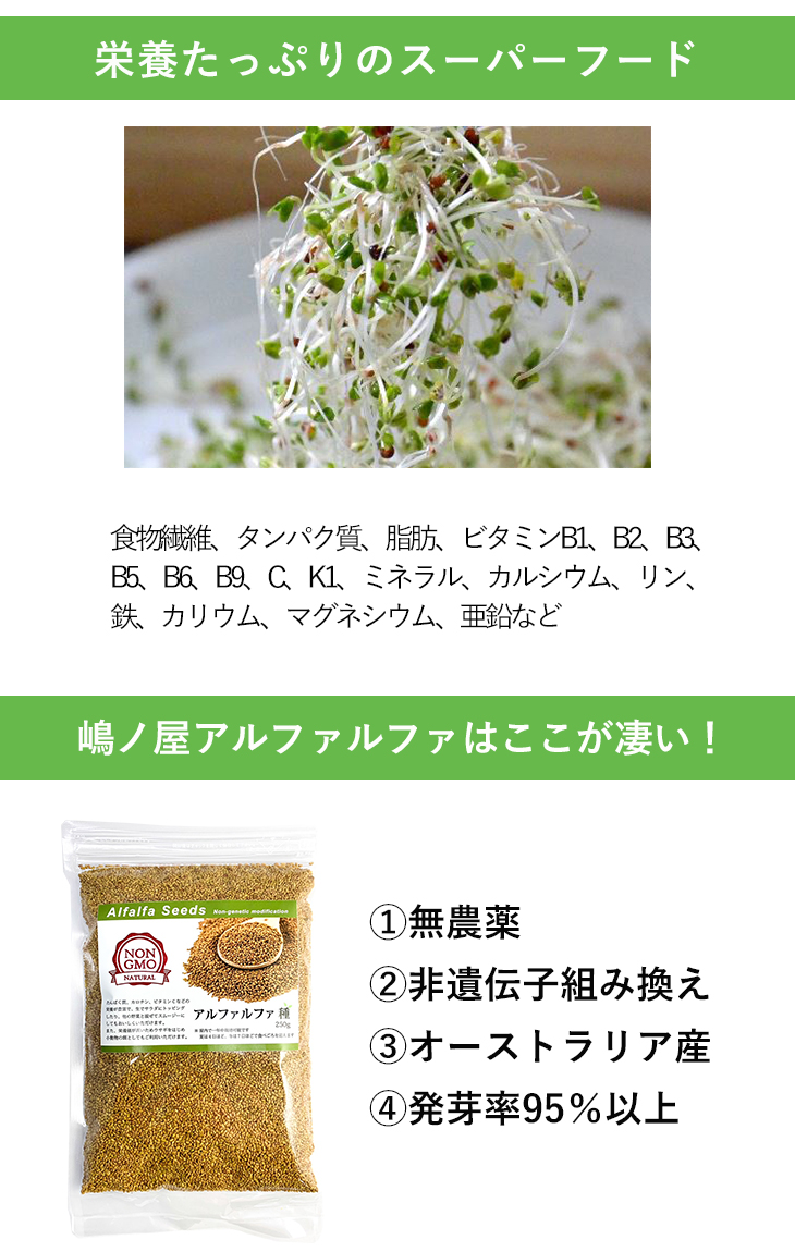 本物 れんげの種 花の種 種子 レンゲ草 レンゲの種 1ｋｇ×20袋セット