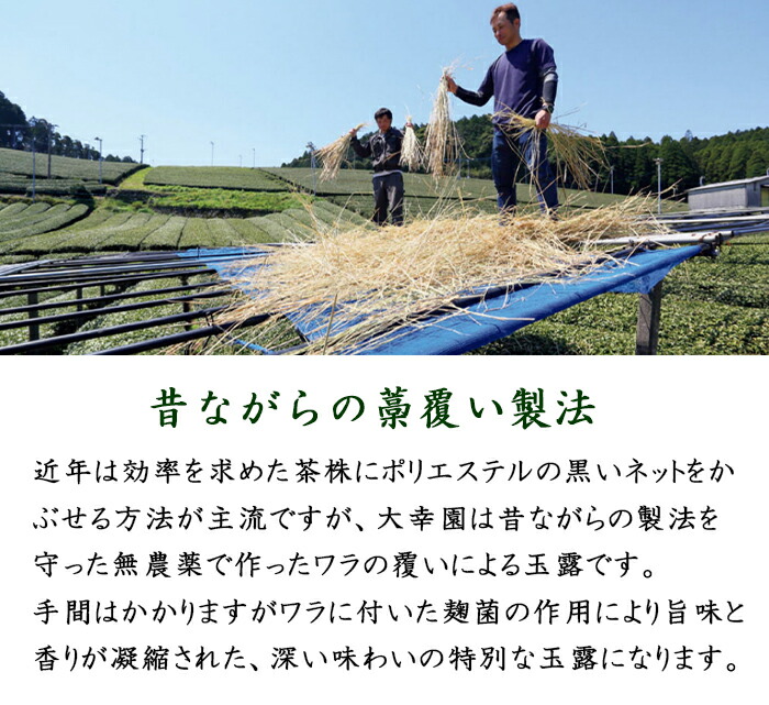 八女茶 玉露 高級茶 完全無農薬 お茶 有機栽培 日本茶 茶葉 緑茶 Amazon.co.jp: 八女茶 ［高級玉露］ 80g×3袋 有機農法 高級茶