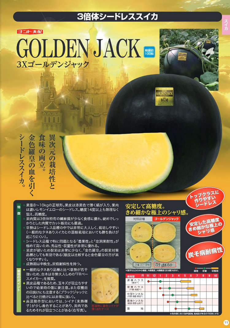 大玉スイカ種子】ナント交配「3Xゴールデンジャック」（シードレス