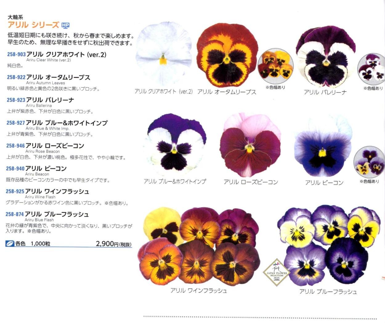 よく咲くスミレ」シリーズ 【営利用パンジー】 サカタのタネ プライマックス種子 500粒 ☆代引き以外をお選び下さいませ  :FS001512066:清水屋種苗園芸ヤフーショップ 通販 